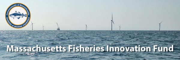 offshore banner.