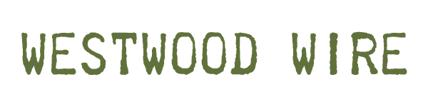 Westwood Wire Icon
