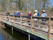 COA Bridge