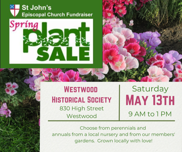 plant sale