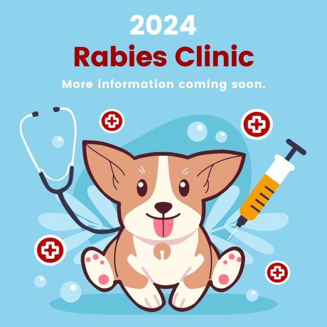 rabies