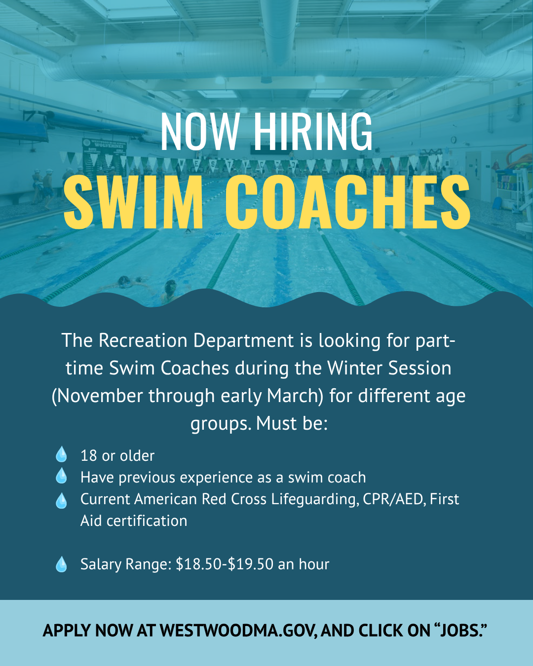 Hiring ad for swim coaches for Westwood Recreation