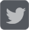 twitter link icon