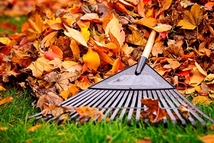 Leaf Collection Season Starts Oct. 29