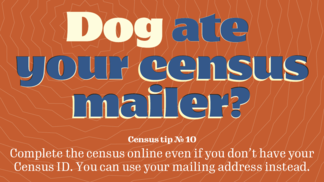 Dog Ate Your Mailor