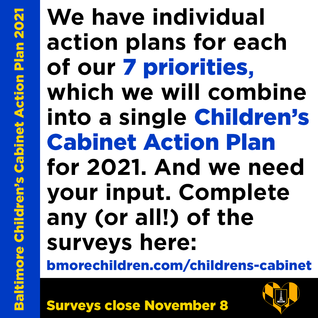 Children's Cabinet Survey
