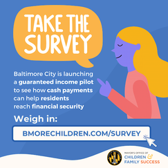 Guaranteed Income Survey