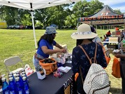 MONSE Safe Summer Tabeling 