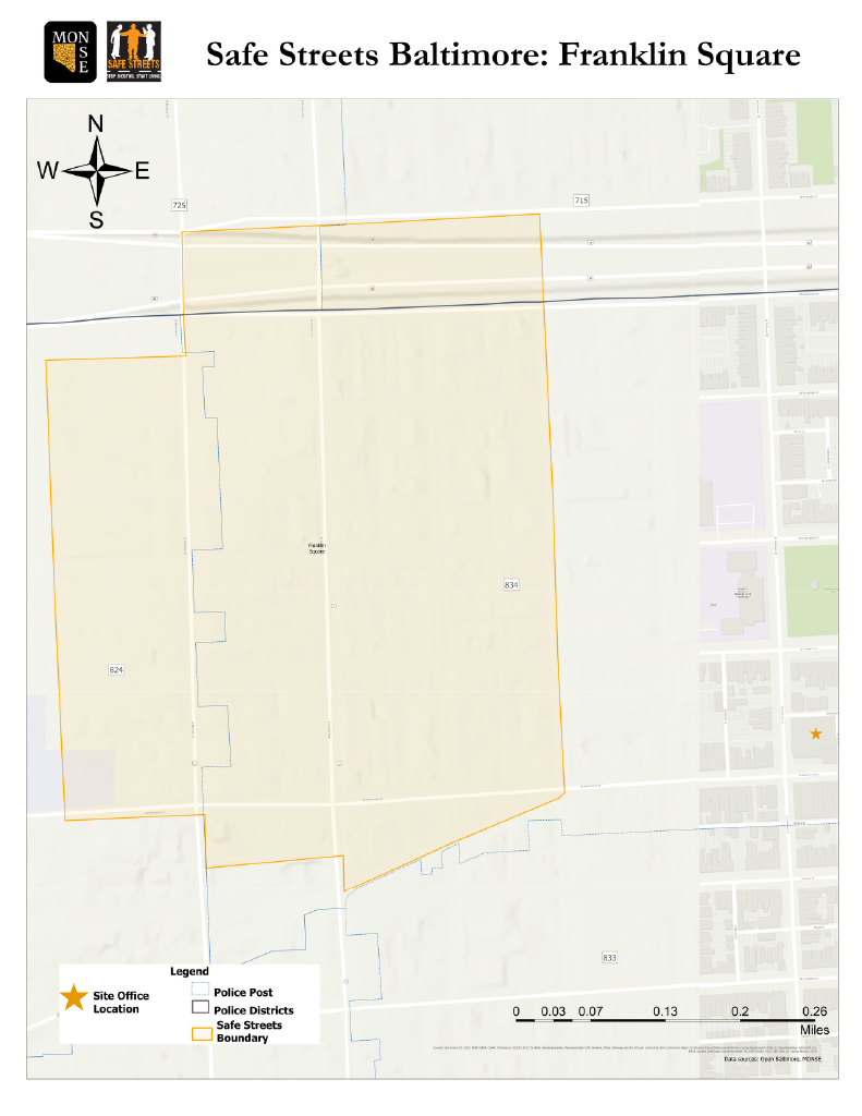 Safe Streets Franklin Square Catchment Zone Boundaries