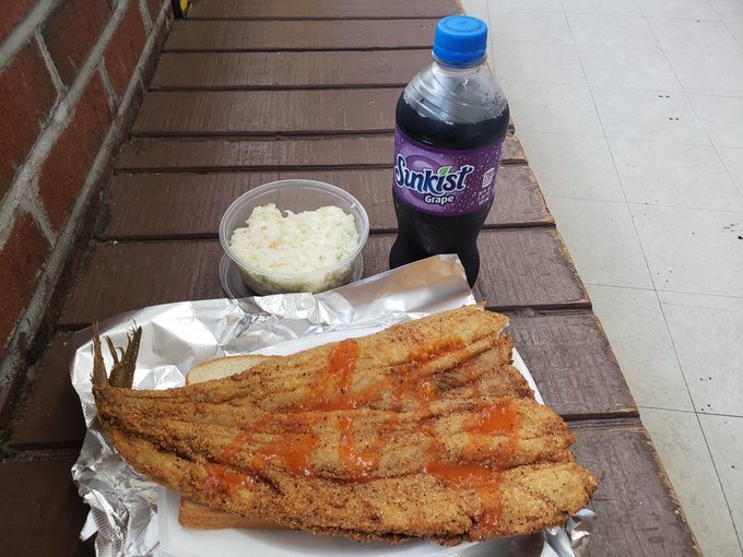 trout