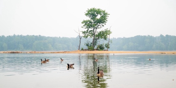 Reservoir in Drought