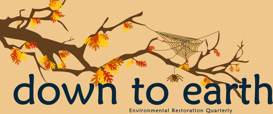 Down To Earth Header