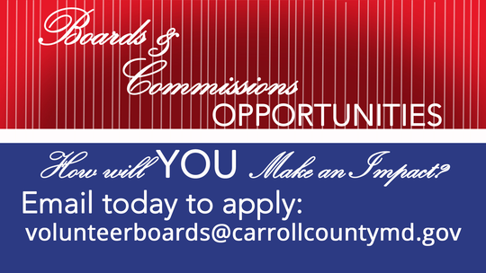 Boards and Commissions