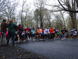 March for Parks