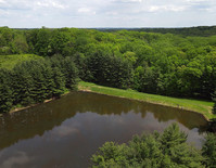 Krimgold Fishing Pond
