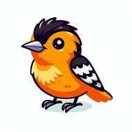 Oriole bird