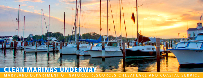 Banner: Clean Marinas