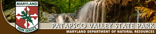 Banner Patapsco