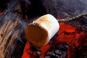 Photo of: Marshmallow over fire