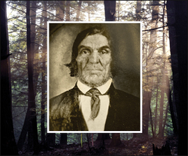 Photo of: Portrait of Brown over background of trees