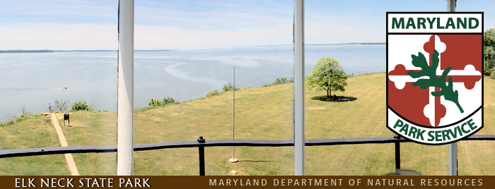 Banner showing view of Bay from inside lighthouse