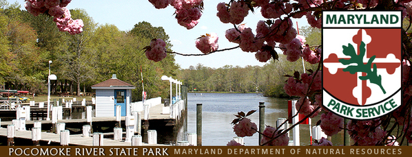 Banner showing dock and blooming tree on river