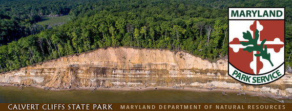 Banner showing Cliffs from the sky