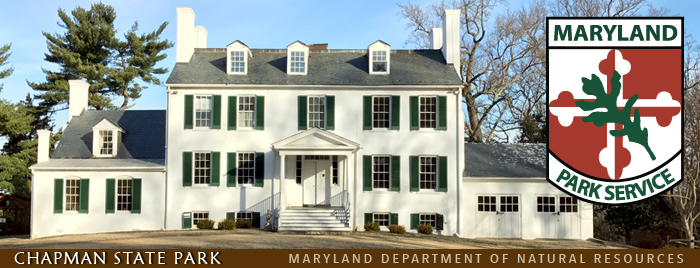 Banner showing the Mt. Aventine Mansion