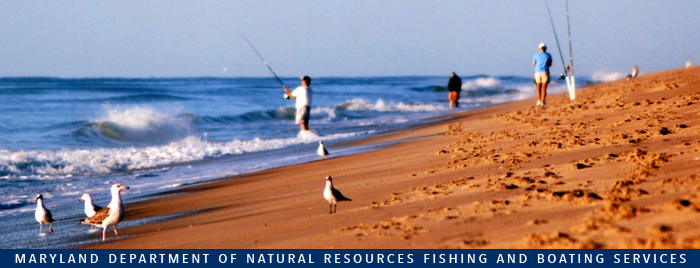Photo of: People fishing on beach at Ocean City