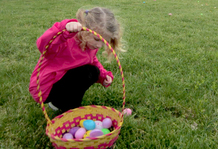 Photo of: Child placing eggs in basket