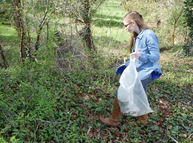 Picking up trash