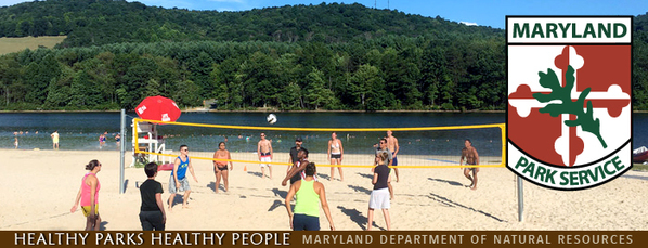 Photo of people playing volleyball on beach