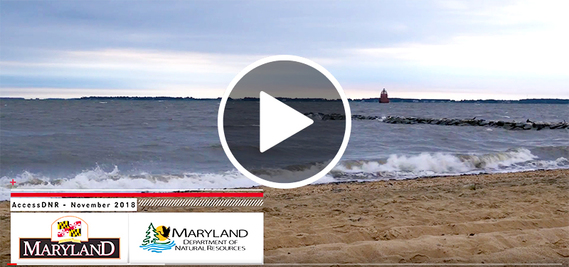 Video stillshot showing waves crashing on beach