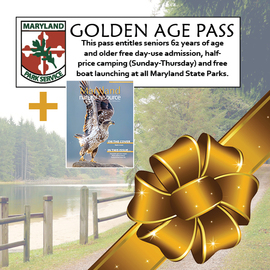 Photo of park pass and magazine cover with bow