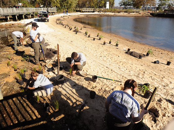 Photo of people planting on shore