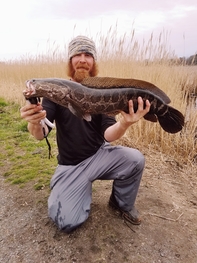 Maryland Fishing Report – April 19