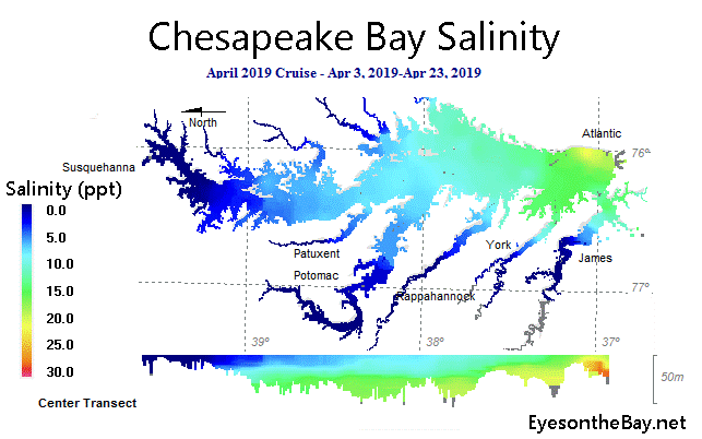 Image of graph showing salinity ranges throughout bay