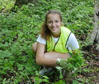 Picture of Volunteer removing invasive plant 