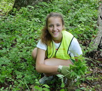 Picture of Volunteer removing invasive plant 