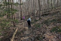 Picture of hikers going up steep trail