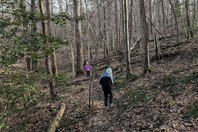 Picture of hikers going up steep trail