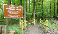 Picture of Catoctin Furnace Trailhead