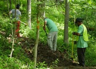 Picture of volunteers helping with trail maintenance on a National Trail Day