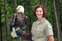 Photo of park ranger holding eagle from Scales and Tales program