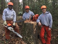 Photo of chainsaw crew
