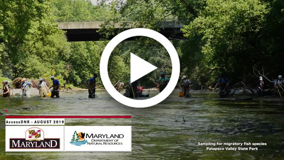 Screenshot of video showing people sampling river