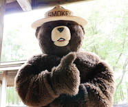 Photo of Smokey Bear