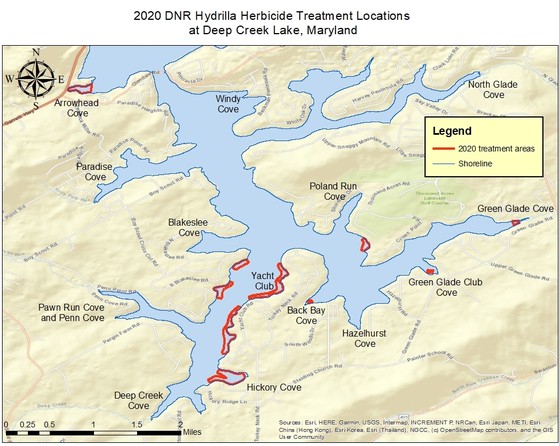 Map showing hydrilla treatment locations at Deep Creek Lake