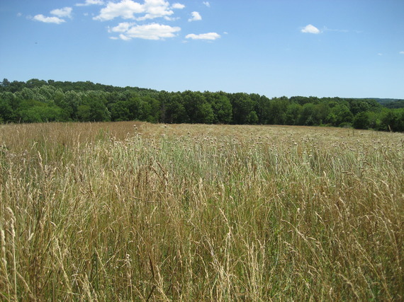 MET_Other_CE0911field