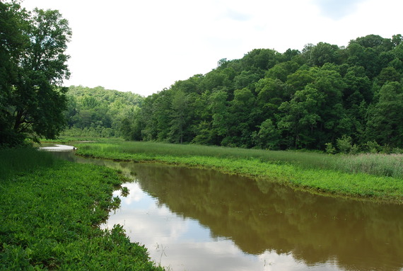 MET_LTprog_LTaug2020